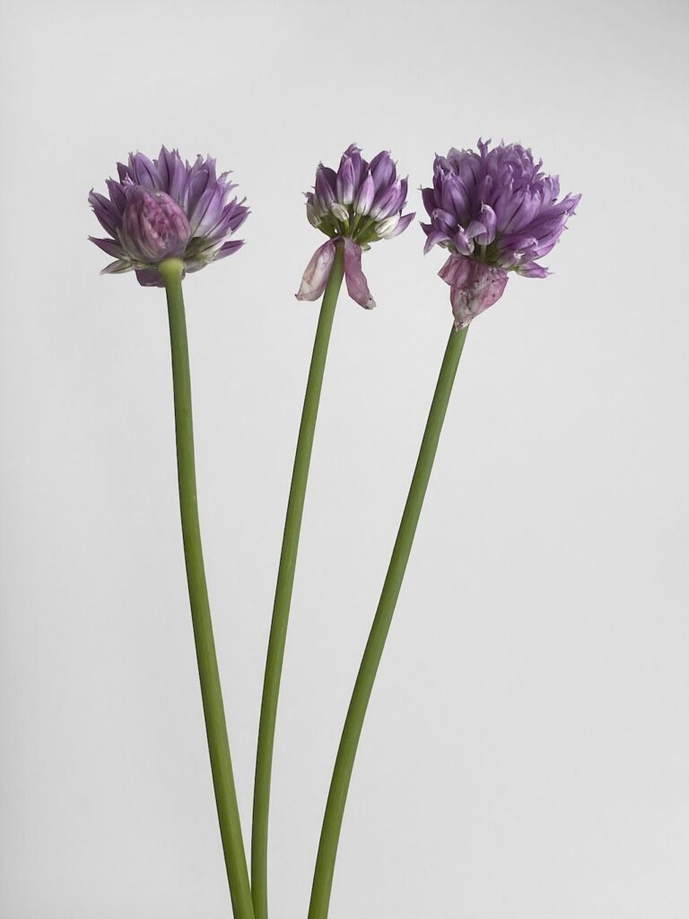 Keramiske blomster og kunstværker udstillet i Kunstetagerne med besøgende i galleriet.
