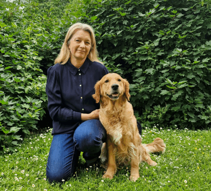 Hund hos dyrlæge undersøges roligt mens ejer er til stede for at mindske stress.