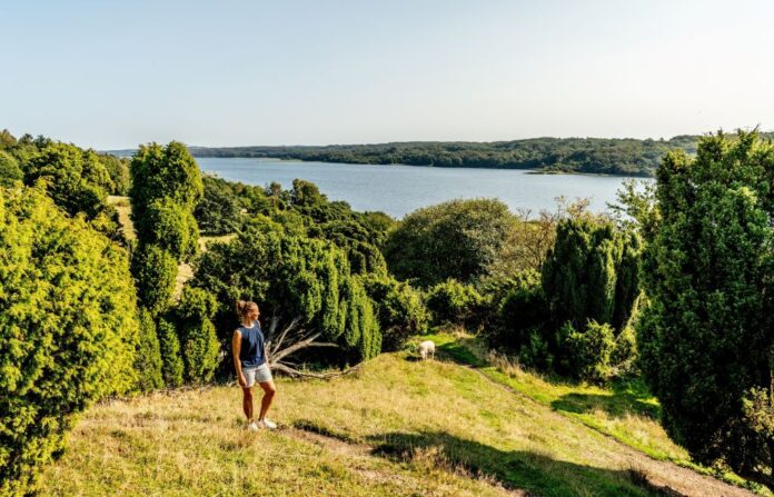 Natur ved Mariagerfjord og Rebild som er finalister til europæisk pris for grøn og bæredygtig turisme