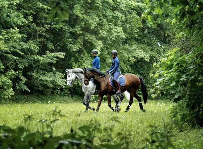 Ryttere rider i naturen med sin hest under Agria Naturridt til støtte for udsatte heste i Danmark.