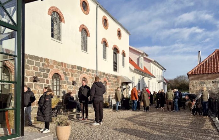 Besøgende nyder julestemning og kunsthåndværk på Aamølles første julemarked.