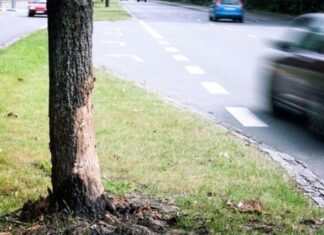 Ny opgørelse afslører tendenser i trafikulykkerne