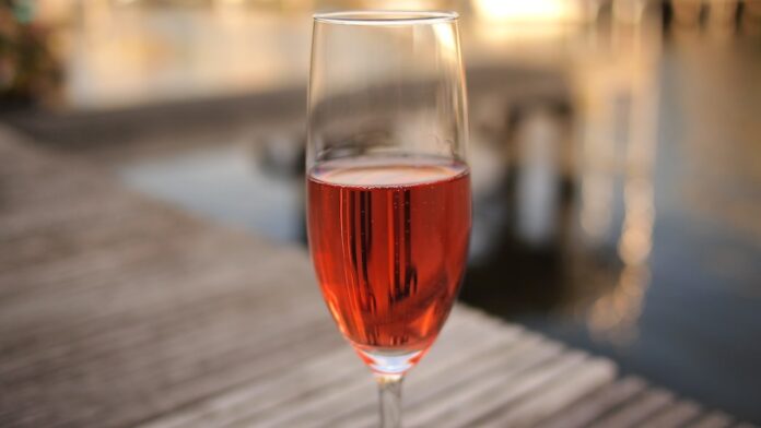 Deltagere nyder rosévin og lokalhistorie under Roséløbet i Vester Tørslev.