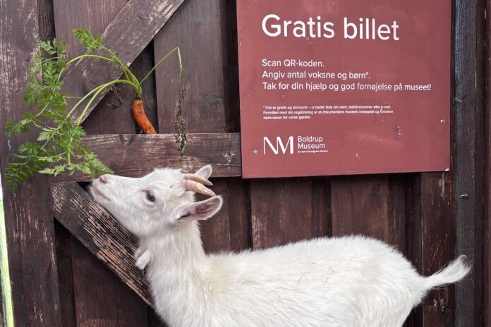 Efterårsferie på Boldrup Museum med dyrefodring, bål, pandekager og æblepressedag